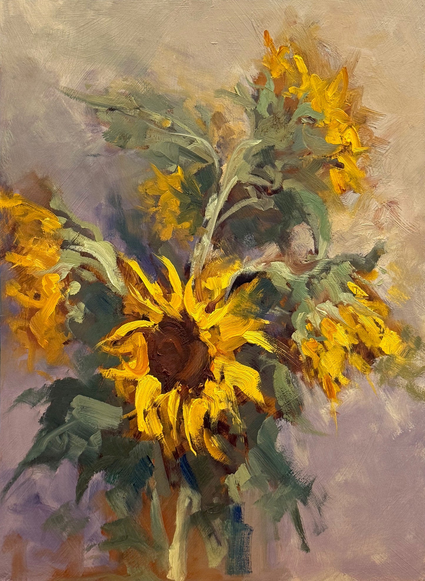 Jason Hawkins - The Cotton Bunch Sunnies #2