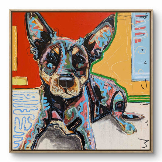 Aidan Weichard - Red Country Kelpie