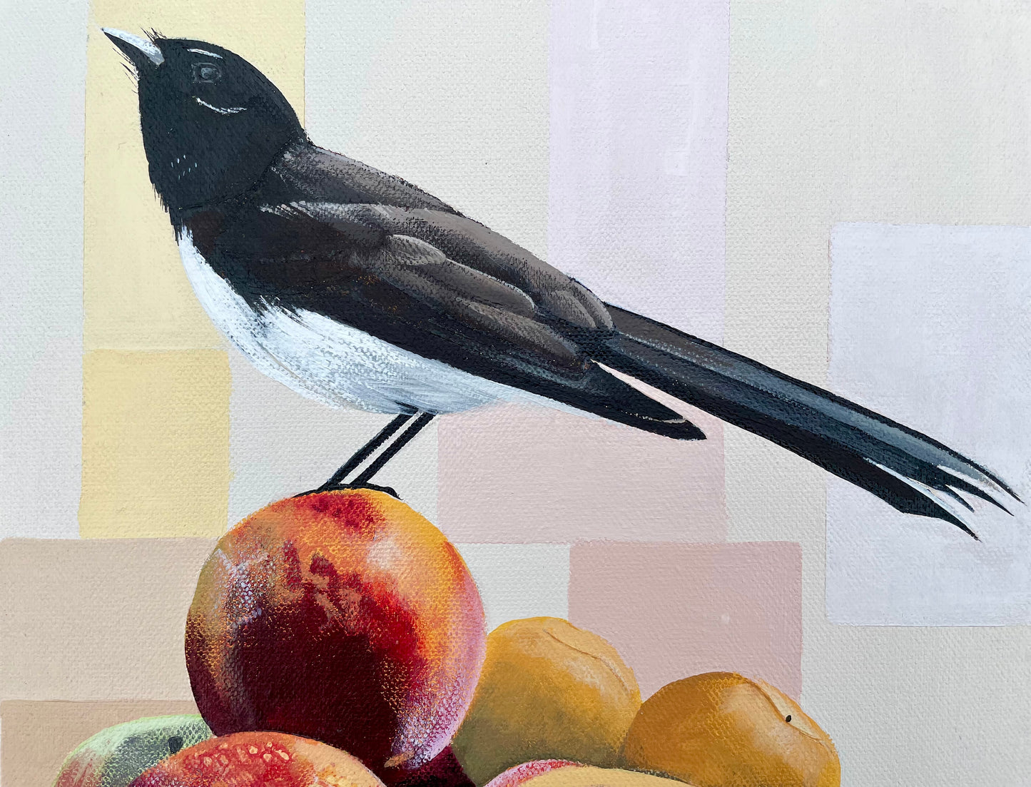 Tania Lucas - Ready To Fly