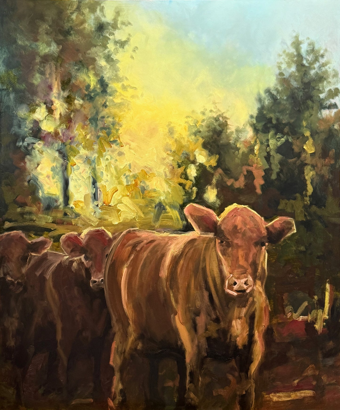 Jason Hawkins - In Afternoon Light