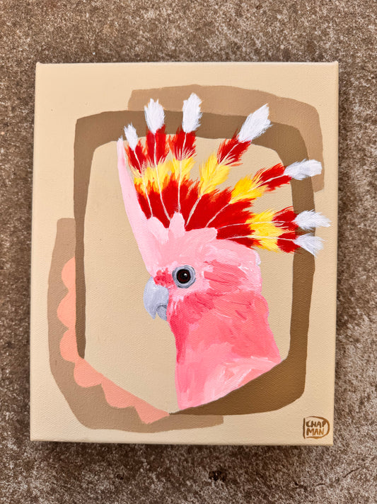 Deb Chapman - Donnie