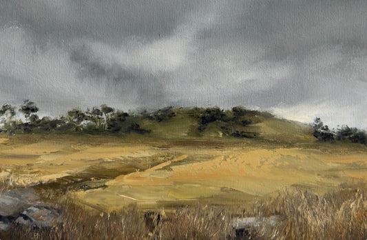 Annie Hawkins - November Rain