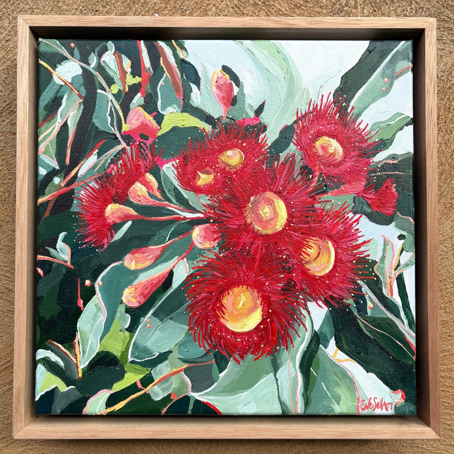 Eve Sellars - Red Flowering Gum
