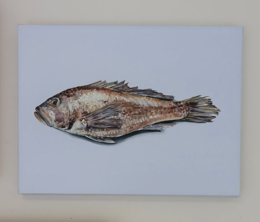 Monique Correy - Signal