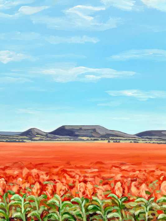 Sophie Twidale - A Sight for Sorghum Eyes