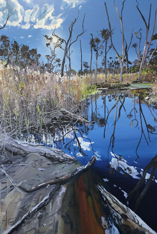 Gabi Mika-McNaughton - Bribie Billabong