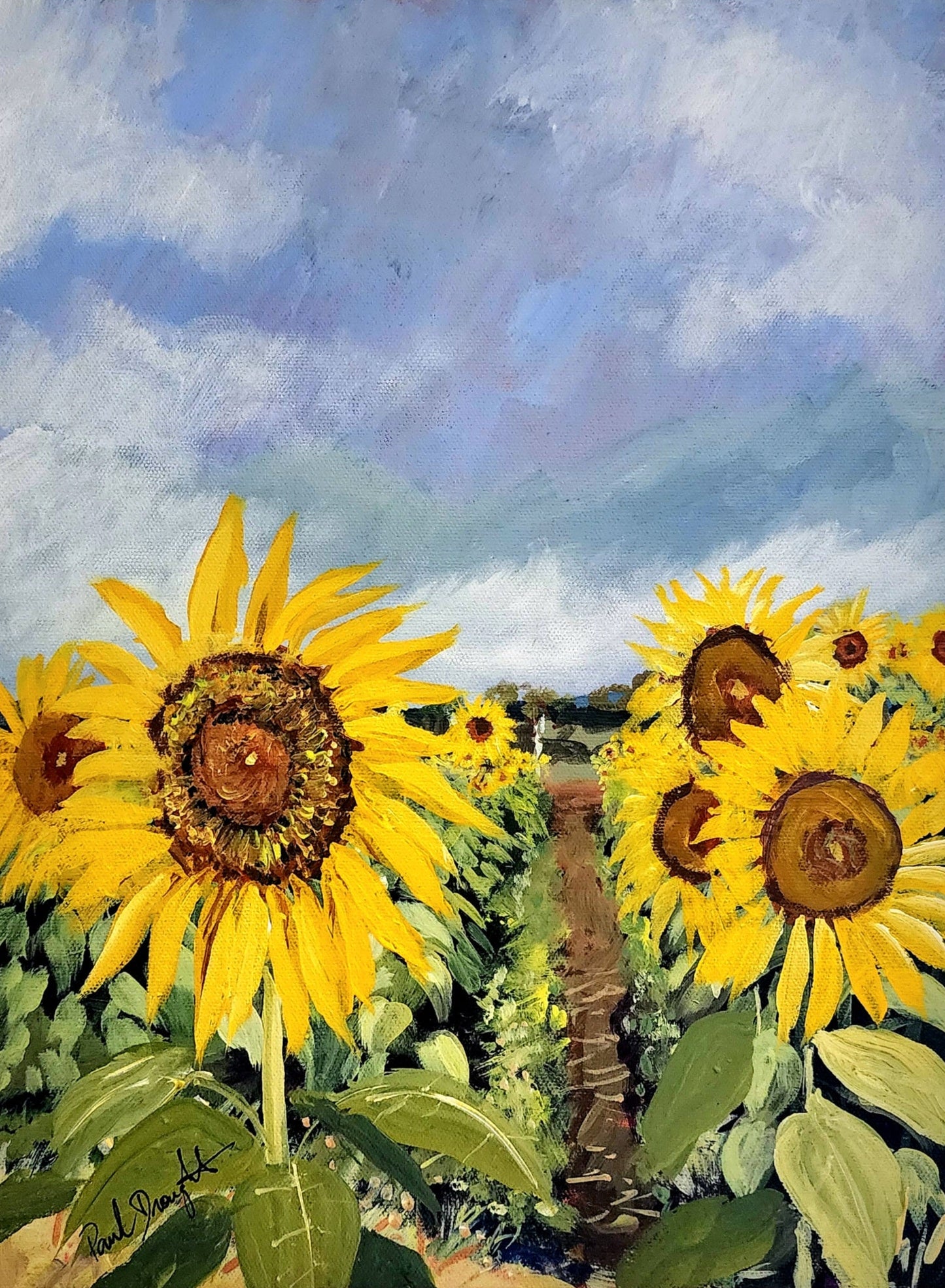 Paul Drought - Sunflowers at Kalbar