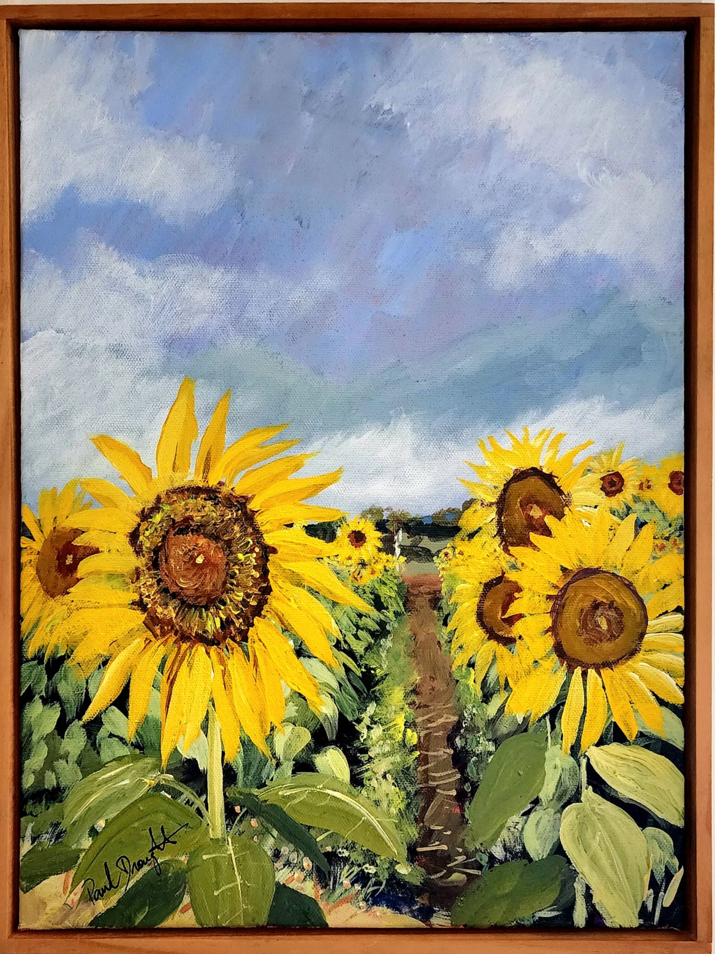 Paul Drought - Sunflowers at Kalbar