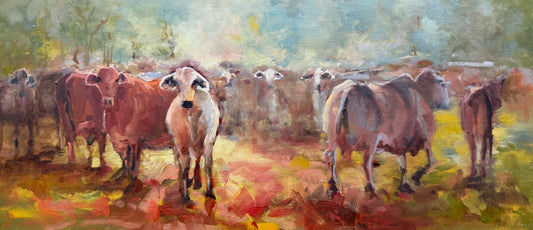 Jason Hawkins - Grazing