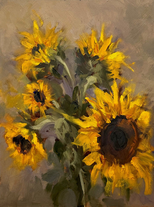 Jason Hawkins - The Cotton Bunch Sunnies #1