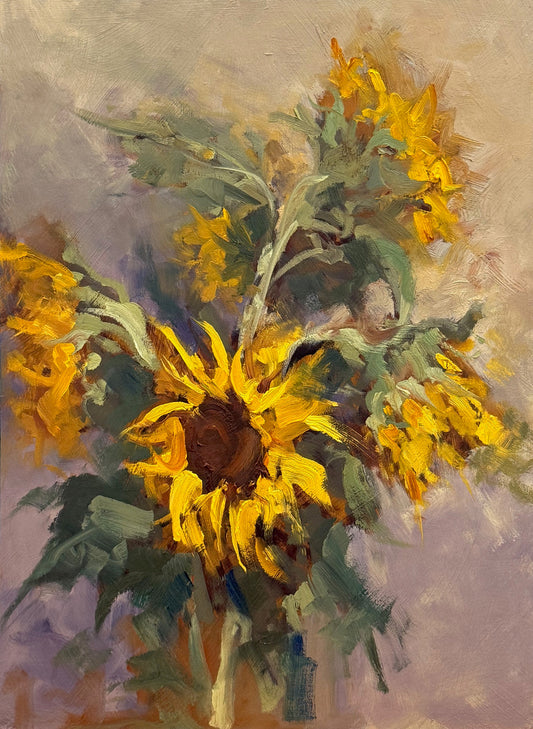 Jason Hawkins - The Cotton Bunch Sunnies #2