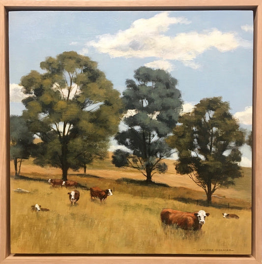 Amanda Holman - Calf Minding