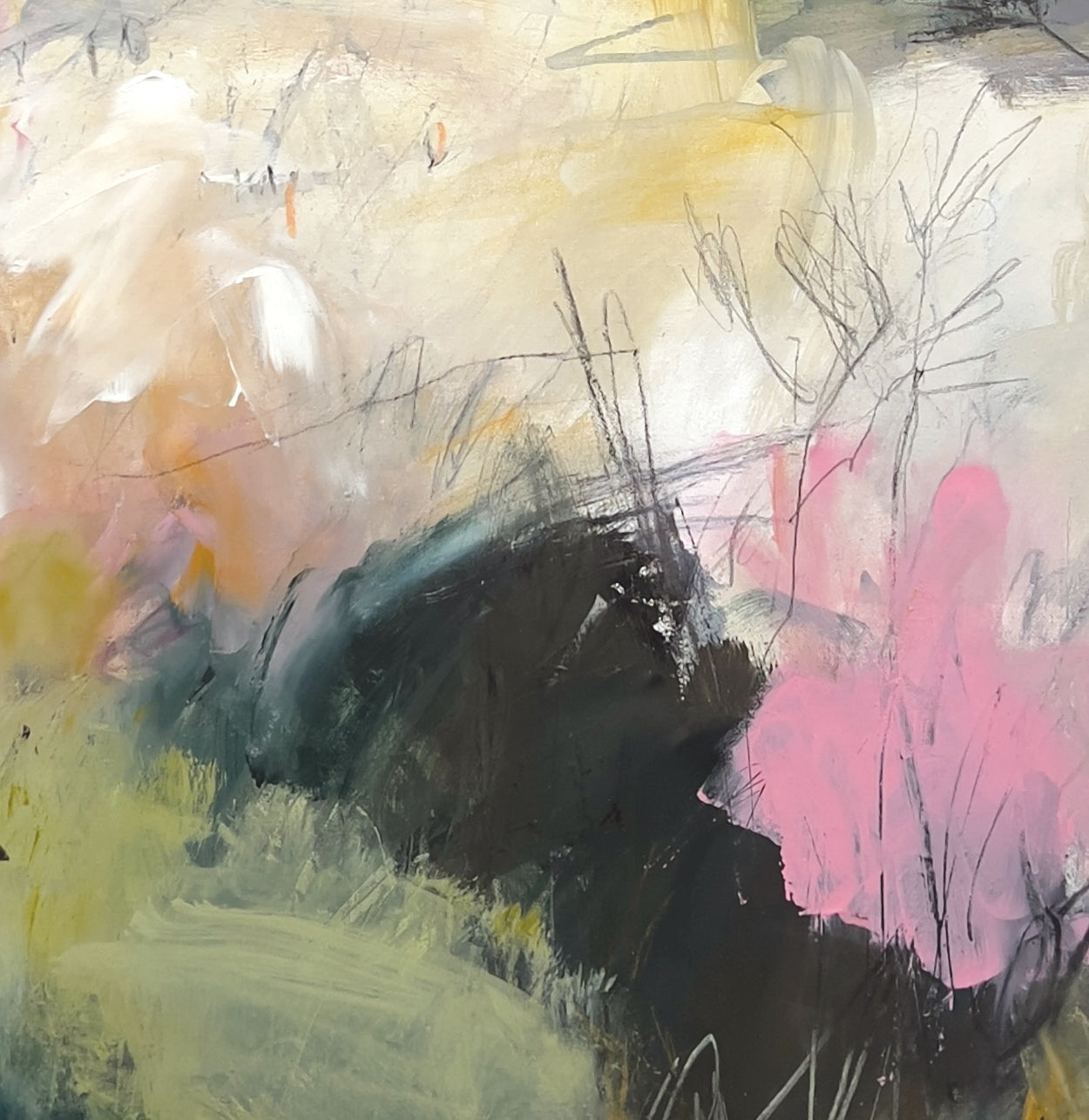 Ann Gordon - Field Notes on the Edge