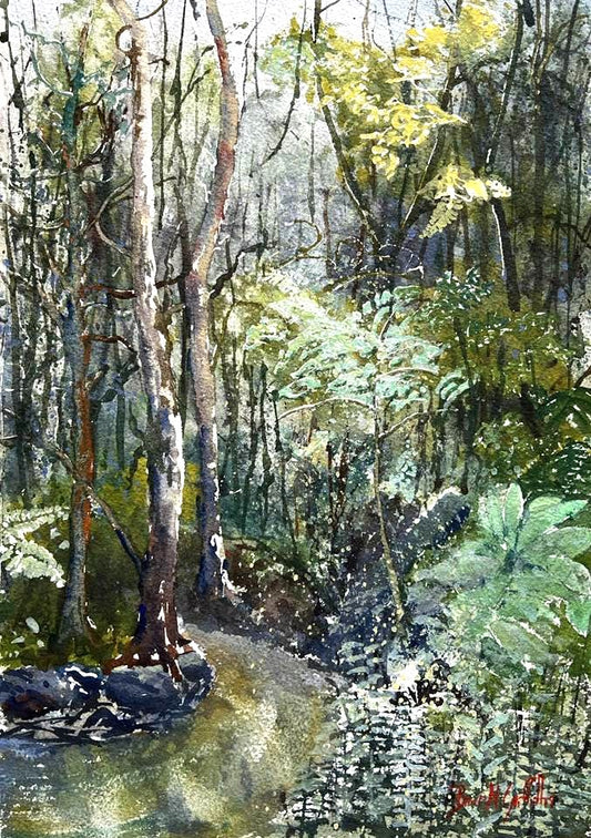 Bruce Griffiths - Burleigh Rainforest Walk