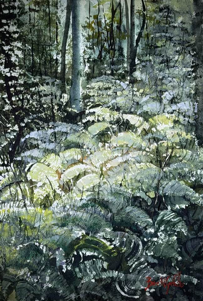 Bruce Griffiths - Light on Bunya Trail