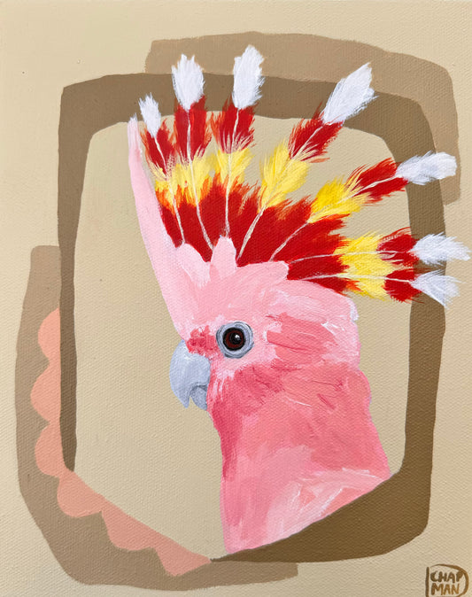 Deb Chapman - Donnie