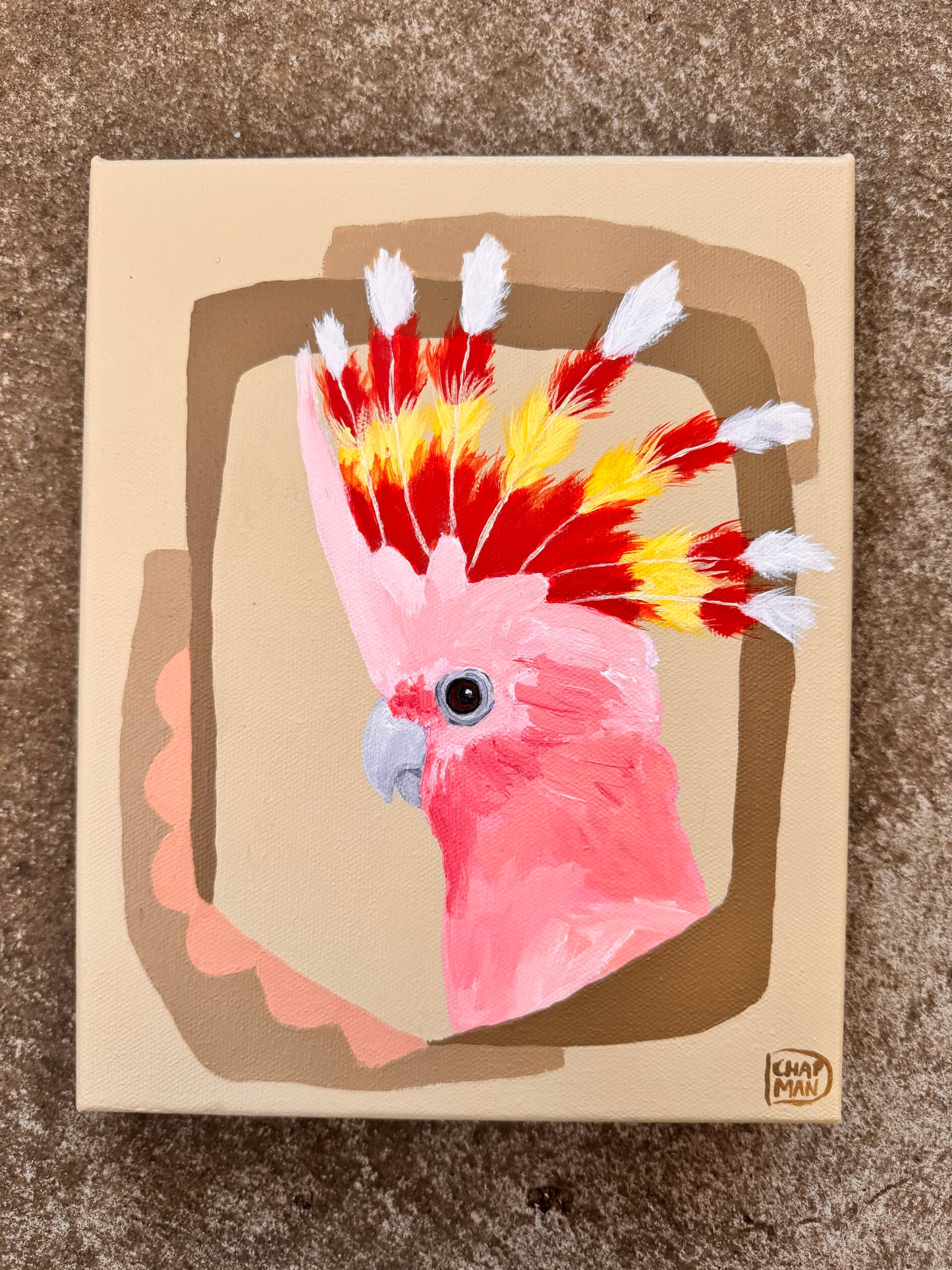 Deb Chapman - Donnie