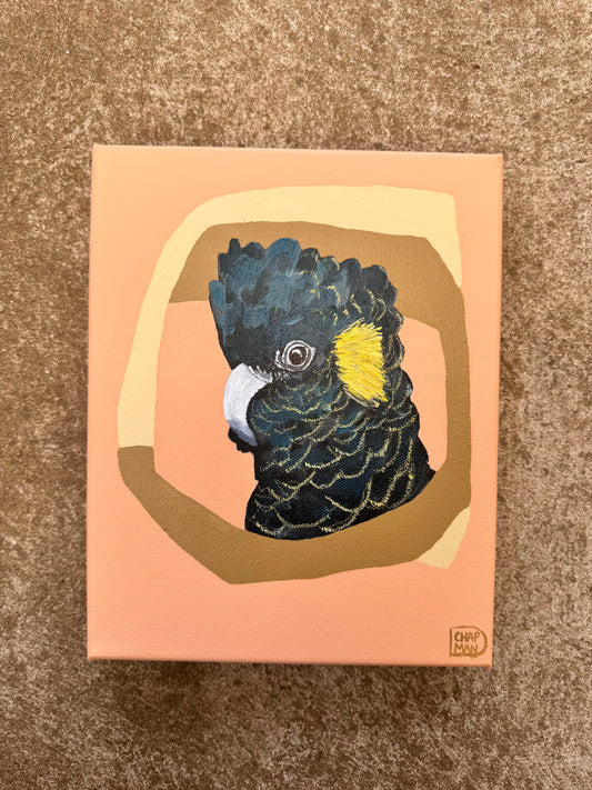 Deb Chapman - Jimmie