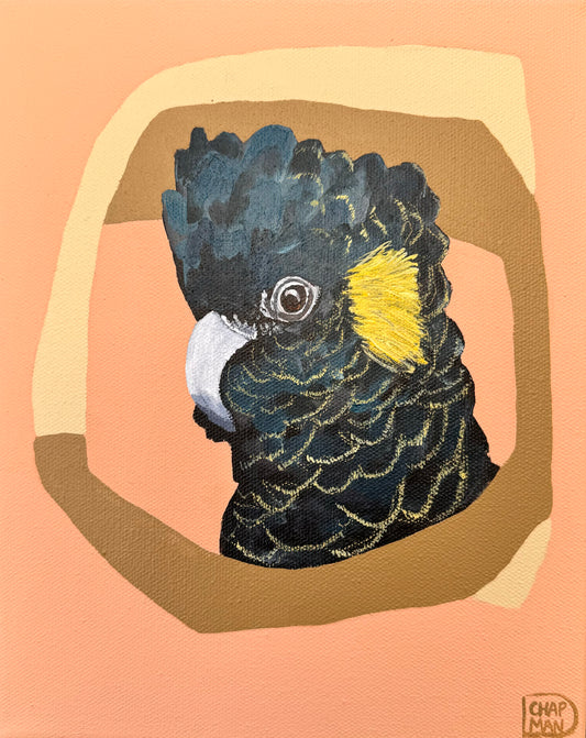 Deb Chapman - Jimmie