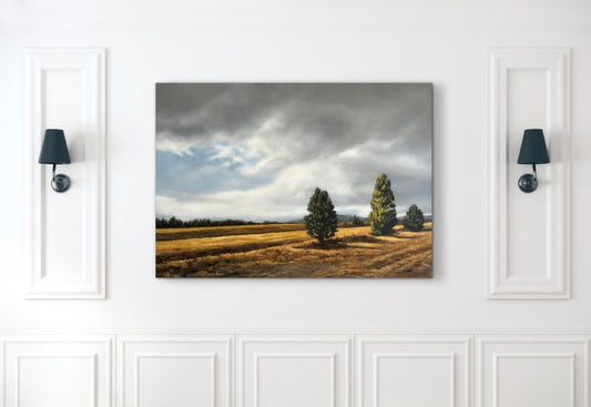 Annie Hawkins - Lost in the land of the long white cloud