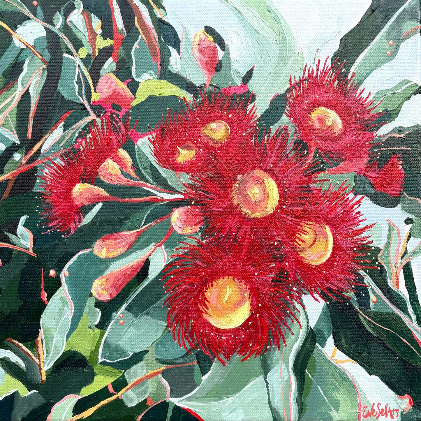 Eve Sellars - Red Flowering Gum