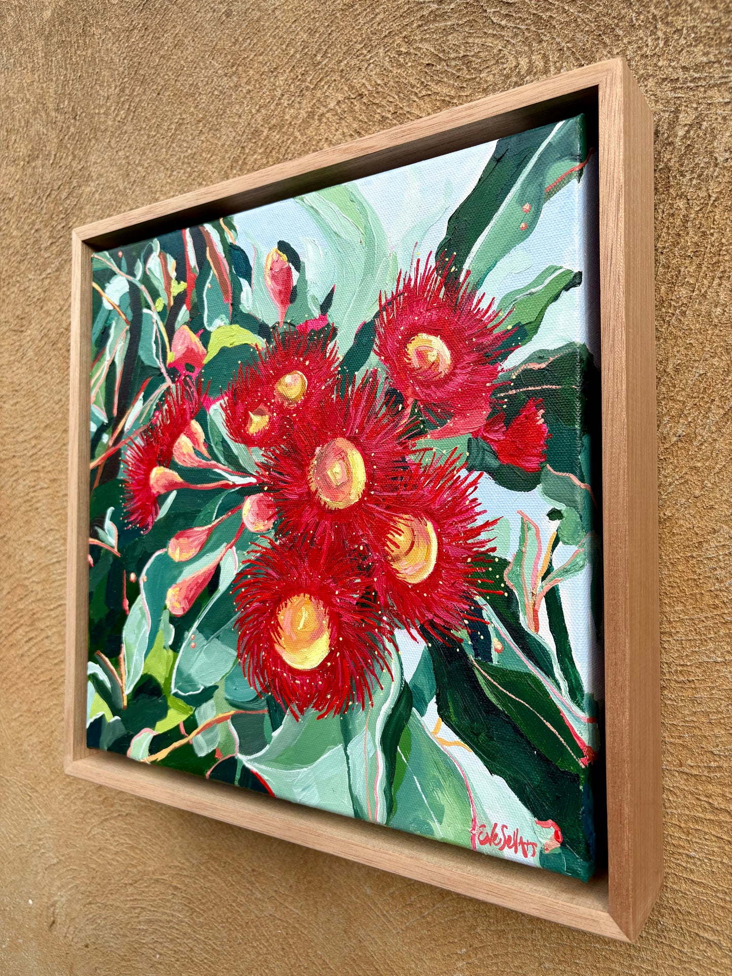 Eve Sellars - Red Flowering Gum