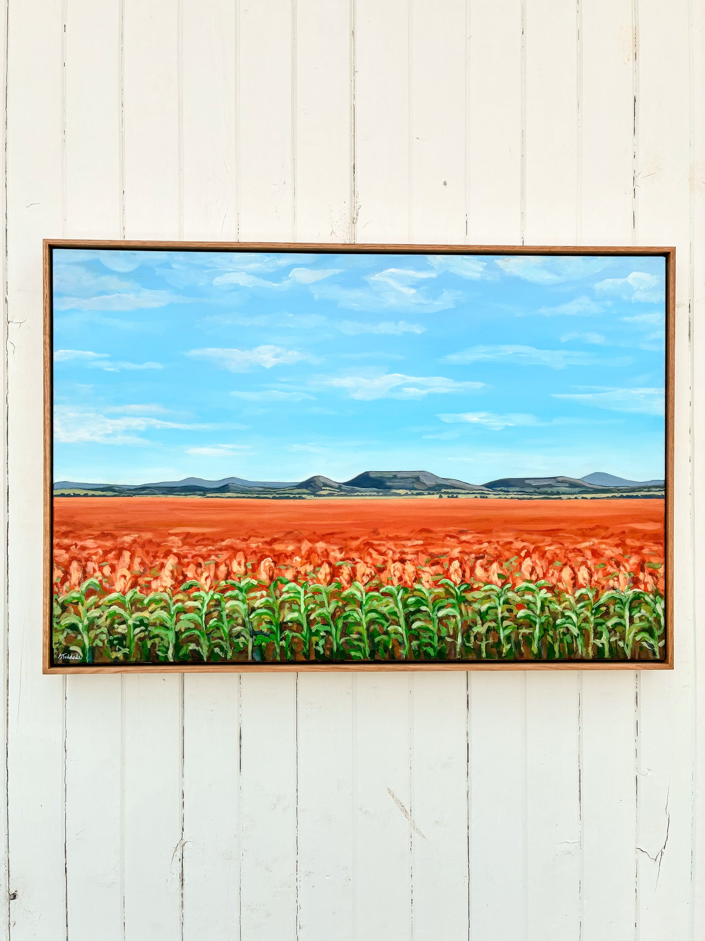 Sophie Twidale - A Sight for Sorghum Eyes