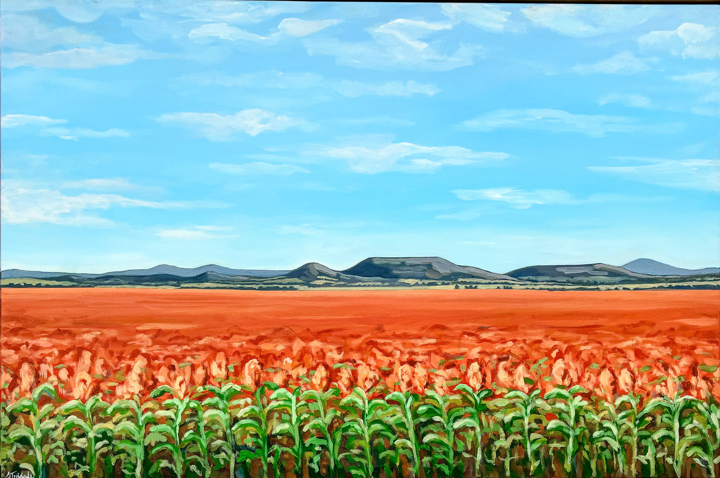 Sophie Twidale - A Sight for Sorghum Eyes