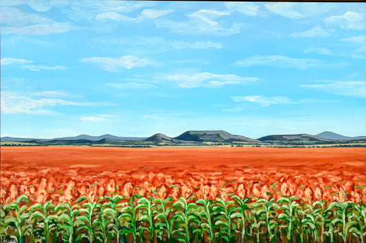 Sophie Twidale - A Sight for Sorghum Eyes