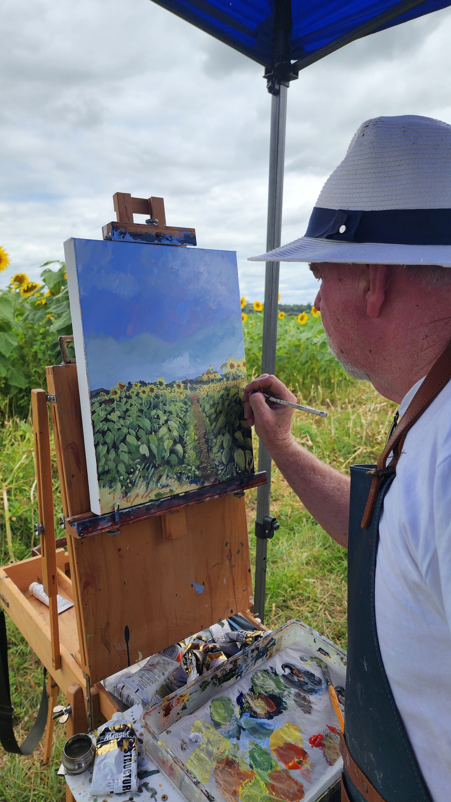 Paul Drought - Sunflowers at Kalbar