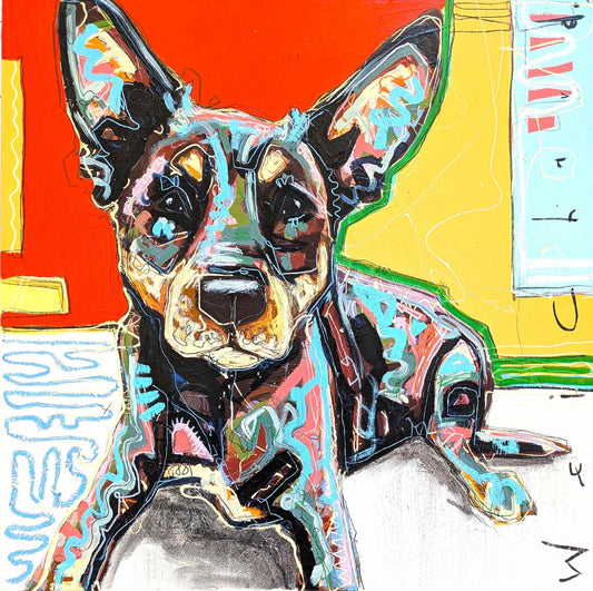 Aidan Weichard - Red Country Kelpie