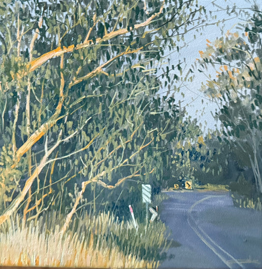 Andrea Kirkham-Hopgood - Sunlight at the bend