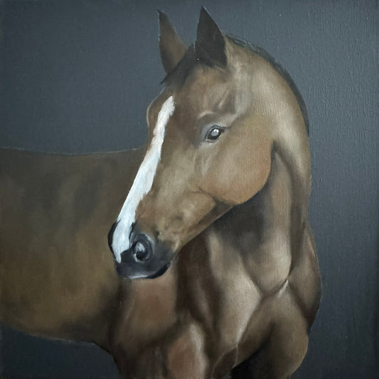 Sarah John - A Horse Named Fred