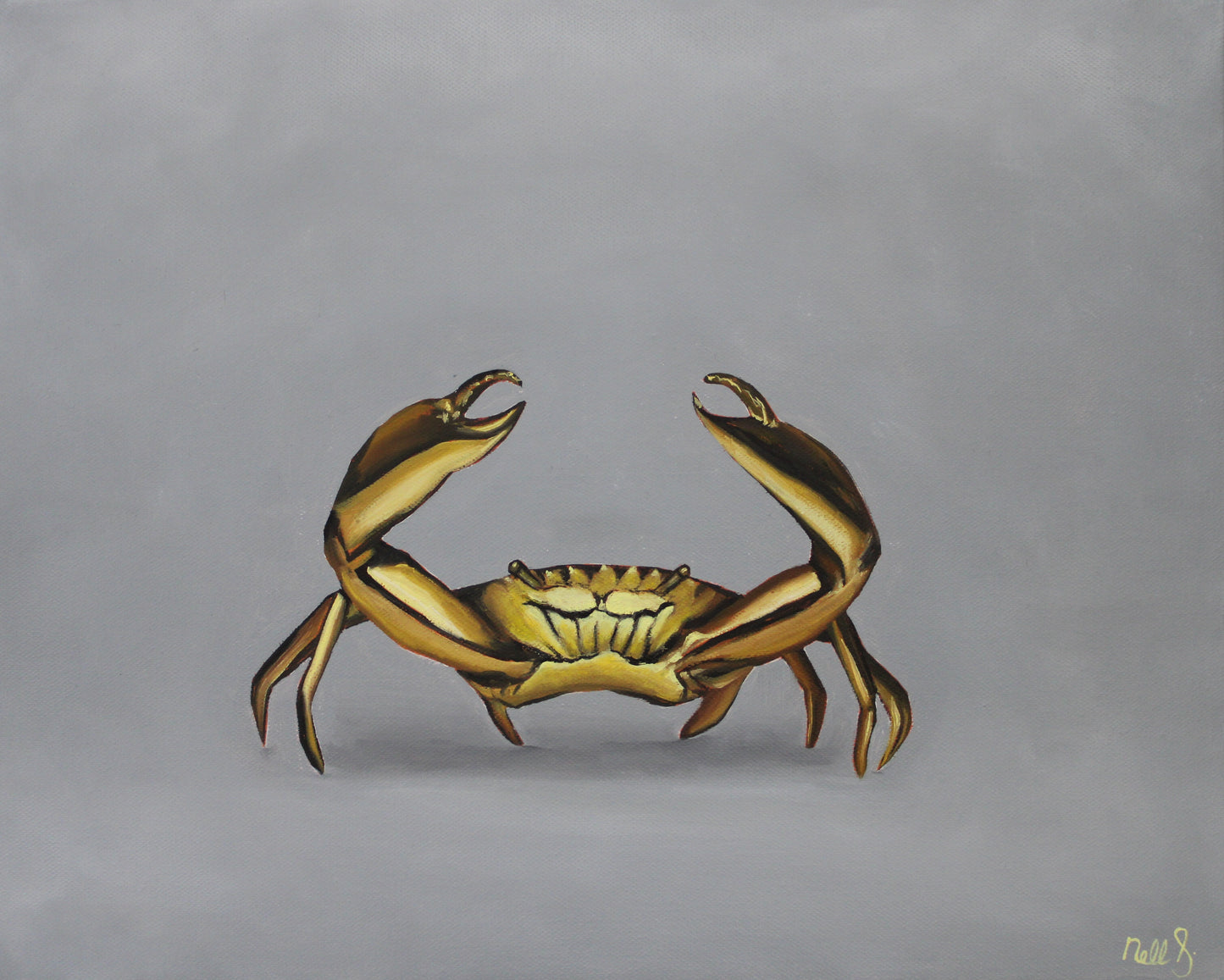 Nell Symonds -  Sebastian